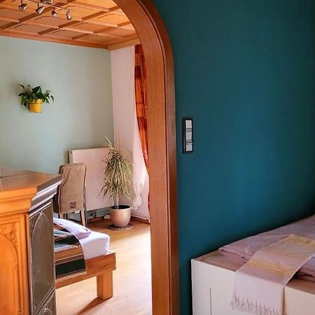 Colourful 2.5 Bedroom With Large Balcony & Garden. Prinzersdorf Exterior foto